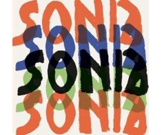 KNYGA Waleria Dorogova Sonia Delaunay