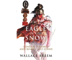 KNYGA Wallace Breem Eagle in the Snow