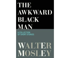 KNYGA Walter Mosley Awkward Juodas Man