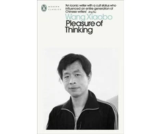 KNYGA Wang Xiaobo Pleasure of Thinking