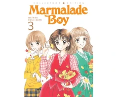 KNYGA Wataru Yoshizumi Marmalade Boy: Collector's Edition 3