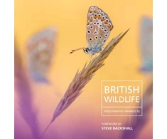 KNYGA Will Nicholls British Wildlife Photography Awards 12