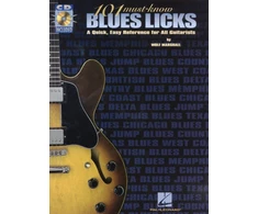 KNYGA Wolf Marshall 101 Must-Know Blues Licks