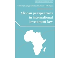 KNYGA Yenkong Ngangjoh Hodu African Perspectives in International Investment Law
