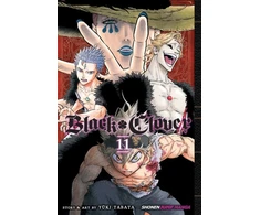 KNYGA Yki Tabata Juodas Clover, Vol. 11