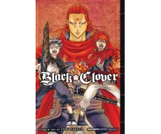 KNYGA Yki Tabata Juodas Clover, Vol. 4