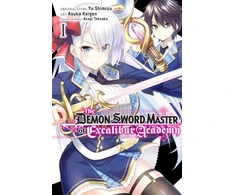 KNYGA Yu Shimizu Demon Sword Master of Excalibur Academy, Vol. 1 (manga)