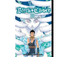 KNYGA Yuki Tabata Juodas Clover, Vol. 30