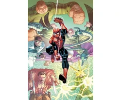 KNYGA Zeb Wells Amazing Spider-Man By Wells &amp; Romita Jr. Vol. 2: The New Sinister
