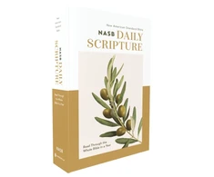 KNYGA Zondervan NASB, Daily Scripture, Paperback, Baltas/Olive, 1995 Text, Comfort Print