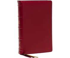KNYGA Zondervan Publishing KJV Holy Bible: Large Print Single-Column with 43,000 End-of-Verse Cross References, Raudona Goatskin Leather, Premier Collection, Personal Size, Raudona Letter: King James Version
