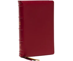 KNYGA Zondervan Publishing KJV Holy Bible: Large Print Single-Column with 43,000 End-of-Verse Cross References, Raudona Goatskin Leather, Premier Collection, Personal Size, Thumb Indexed: King James Version