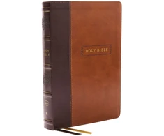 KNYGA Zondervan Publishing KJV Holy Bible with 73,000 Center-Column Cross References, Brown Leathersoft, Raudona Letter, Comfort Print (Thumb Indexed): King James Version
