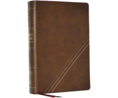 KNYGA Zondervan Publishing KJV, Word Study Reference Bible, Leathersoft, Brown, Raudona Letter, Comfort Print