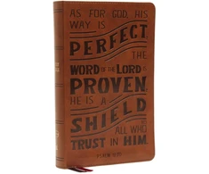 KNYGA Zondervan Publishing NKJV, Personal Size Reference Bible, Verse Art Cover Collection, Leathersoft, Tan, Raudona Letter, Thumb Indexed, Comfort Print