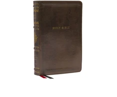 KNYGA Zondervan Publishing NKJV, Personal Size Reference Bible, Sovereign Collection, Leathersoft, Brown, Raudona Letter, Comfort Print