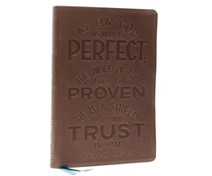KNYGA Zondervan Publishing NKJV, Thinline Bible, Verse Art Cover Collection, Genuine Leather, Brown, Thumb Indexed, Raudona Letter, Comfort Print