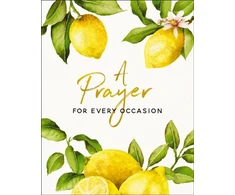 KNYGA Zondervan Publishing Prayer for Every Occasion