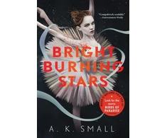 KNYGA A K Small Bright Burning Stars