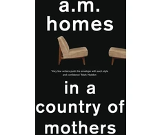 KNYGA A M Homes In a Country Of Mothers