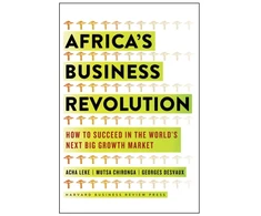 KNYGA Acha Leke Africa's Business Revolution