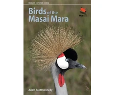 KNYGA Adam Scott Kennedy Birds of the Masai Mara