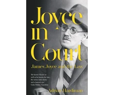 KNYGA Adrian Hardiman Joyce in Court