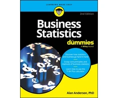 KNYGA Alan Anderson Business Statistics For Dummies