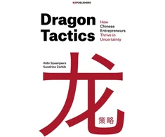 KNYGA Aldo Spaanjaars Dragon Tactics