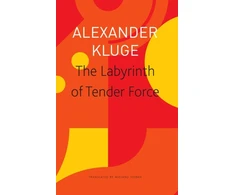 KNYGA Alexander Kluge Labyrinth of Tender Force – 166 Love Stories