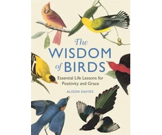 KNYGA Alison Davies Wisdom of Birds