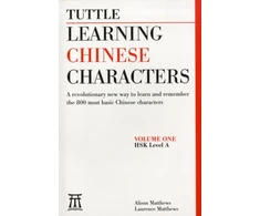 KNYGA Alison Matthews Learning Chinese Characters