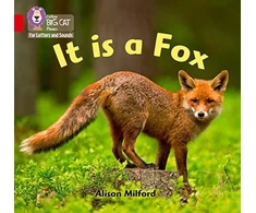 KNYGA Alison Milford It is a Fox