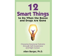 KNYGA Allen Berger 12 Smart Things to Do When the Booze and Drugs Are Gone