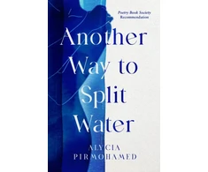 KNYGA Alycia Pirmohamed Another Way to Split Vanduo