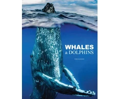 KNYGA Amber Books Whales &amp; Dolphins