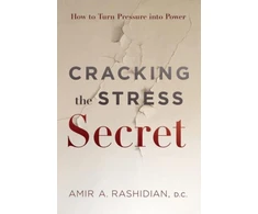 KNYGA Amir Rashidian Cracking the Stress Secret