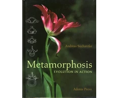 KNYGA Andreas Suchantke Metamorphosis