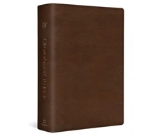 KNYGA Andrew E Steinmann ESV Chronological Bible