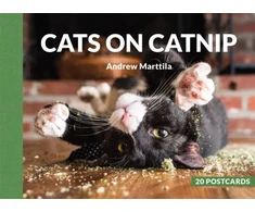 KNYGA Andrew Marttila Cats on Catnip: 20 Postcards