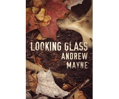 KNYGA Andrew Mayne Looking Glass