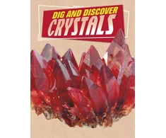 KNYGA Anita Nahta Amin Dig and Discover Crystals