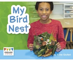 KNYGA Anne Giulieri My Bird Nest