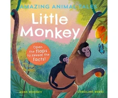 KNYGA Anne Rooney Amazing Animal Tales: Little Monkey