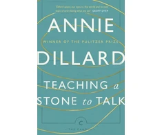 KNYGA Annie Dillard Teaching a Stone to Talk