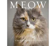 KNYGA Anouska Jones Miau