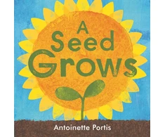 KNYGA Antoinette Portis seed grows