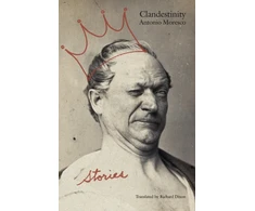 KNYGA Antonio Moresco Clandestinity