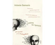 KNYGA Antonio R Damasio Looking For Spinoza