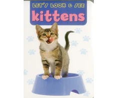 KNYGA Armadillo Let's Look &amp; See: Kittens